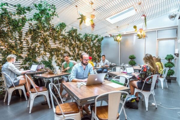 Co-working space with plants