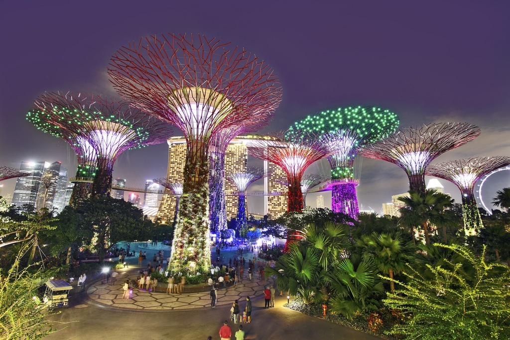 gardens by the bay singapore at night
