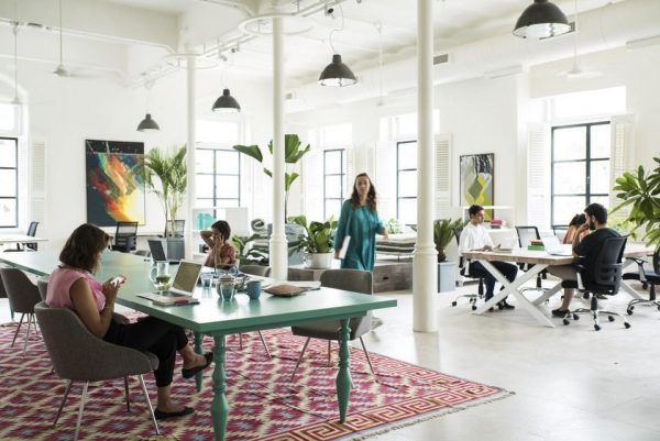 professional working in a shared industrial co-working space