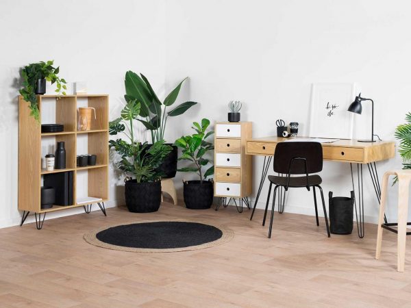 home office with plants