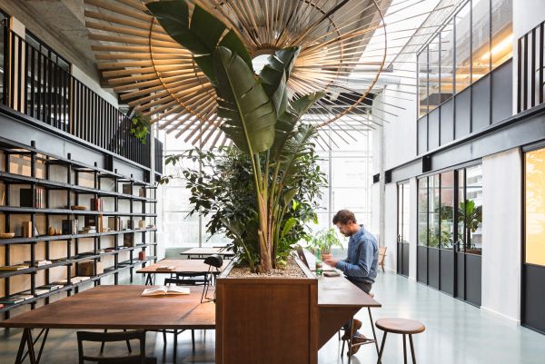 Incorporating Nature With Coworking Spaces